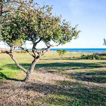 Natura 5p By Interhome * Santa-Maria-Poggio (Corsica)