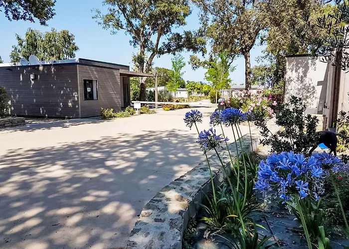 Natura 5p By Interhome Santa-Maria-Poggio (Corsica)