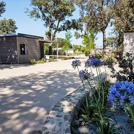 Natura 5p By Interhome Santa-Maria-Poggio (Corsica)