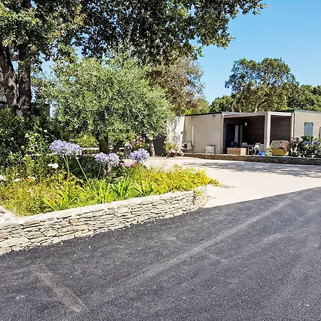 Natura 5p By Interhome Casa vacanze Santa-Maria-Poggio (Corsica)