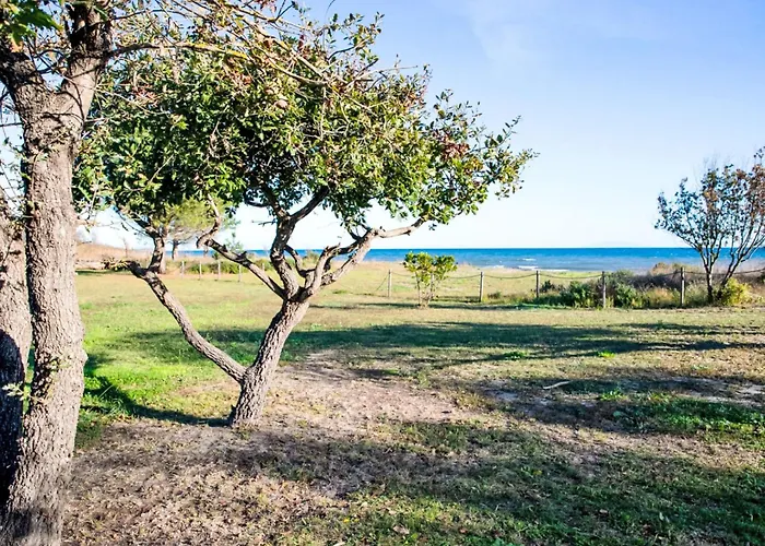 Natura 5p By Interhome * Santa-Maria-Poggio (Corsica)